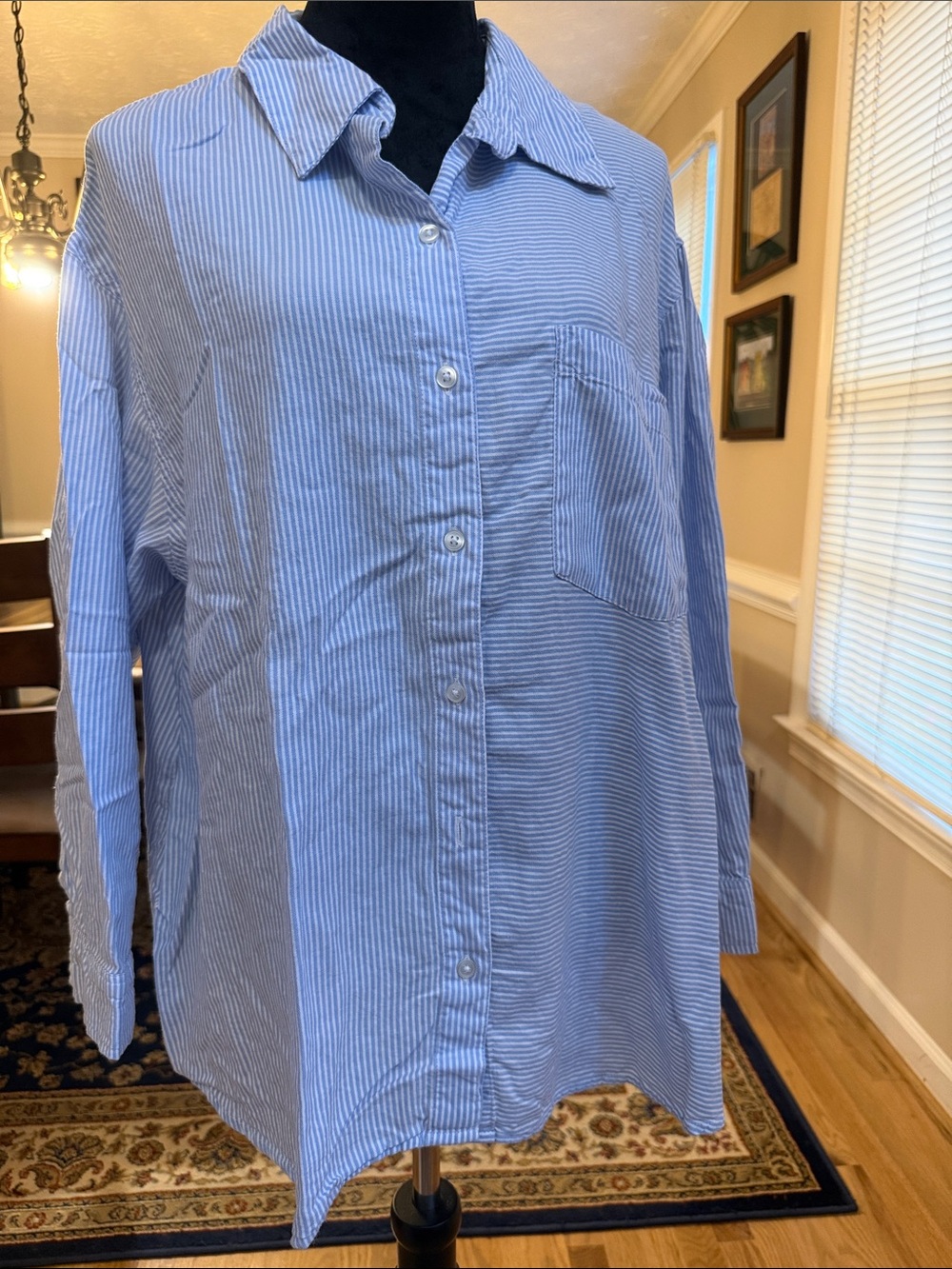 Terra & Sky Light Blue Thin-Striped Button-Down Shirt